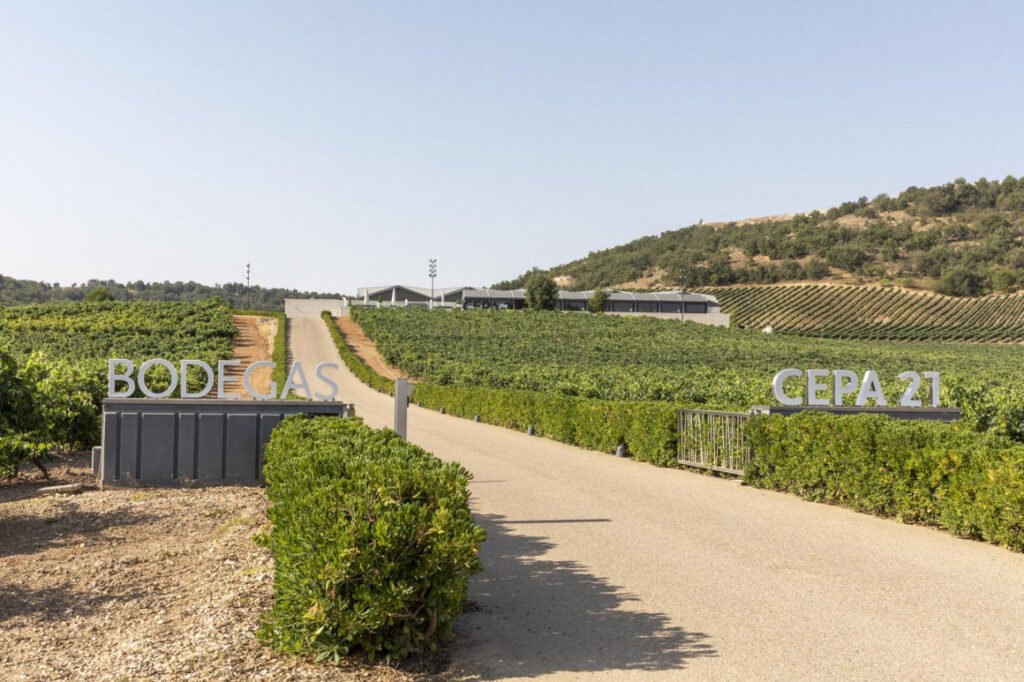 LAS MEJORES BODEGAS DE RIBERA DEL DUERO PARA VISITAR