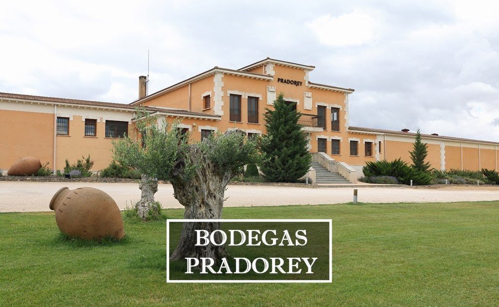 LAS MEJORES BODEGAS DE RIBERA DEL DUERO PARA VISITAR