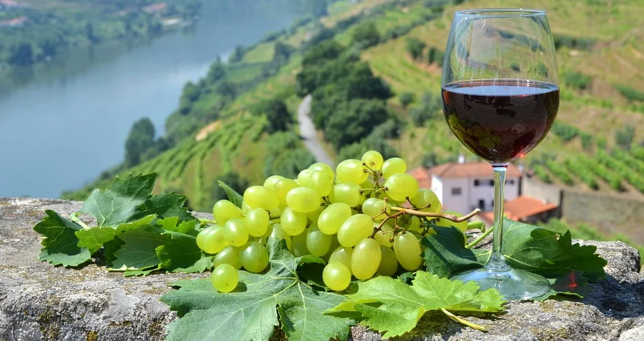 CATAS DE VINOS EN PORTUGAL