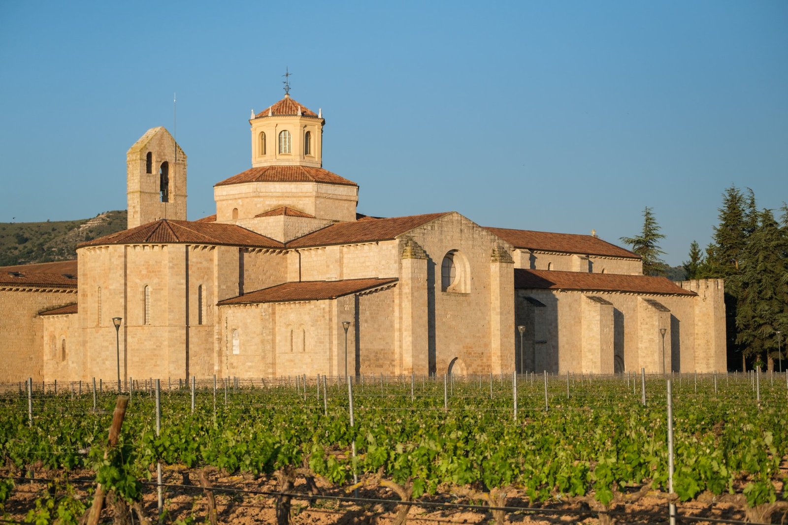 ENOTURISMO DE LUJO EN RIBERA DEL DUERO