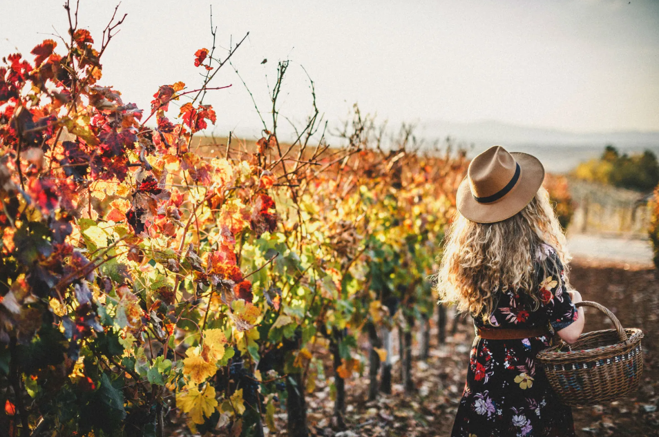 VIÑEDOS INDIVIDUALES DE RIOJA